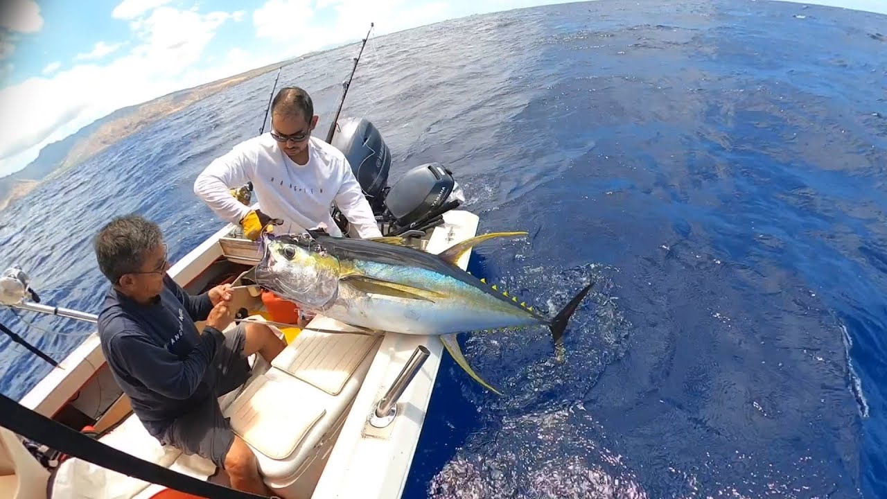 Lucky Fishing Day!  Triple Yellow Fin TUNA Bite!