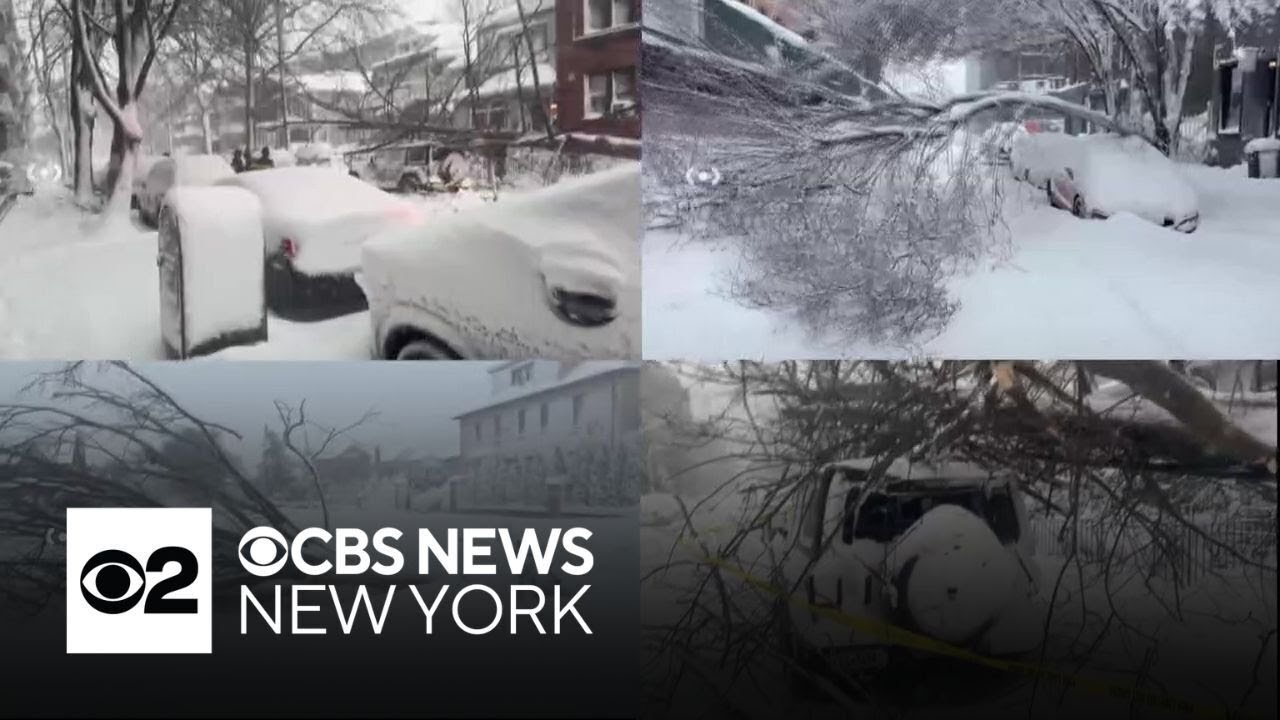 Blizzard leaves plenty of damage across New York City
