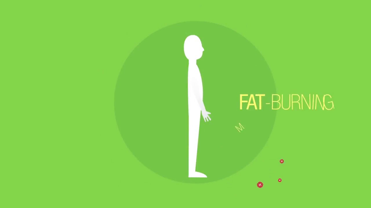 Purium 10 Day Transformation: The Ultimate Guide