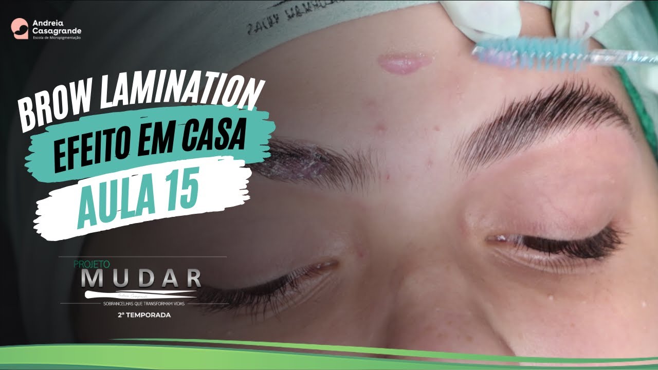 DESIGN DE SOBRANCELHAS 2ª TEMP. | Como fazer efeito Brow Lamination em casa