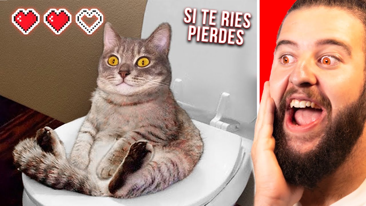 Si Te Ries PIERDES Una vida  💗 💗 ❤ (999.33% IMPOSIBLE)