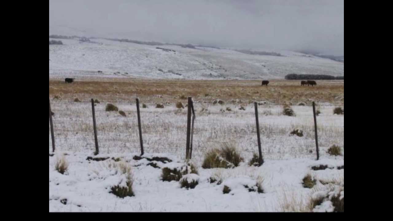 Al Sur del Viento. Ruben Patagonia