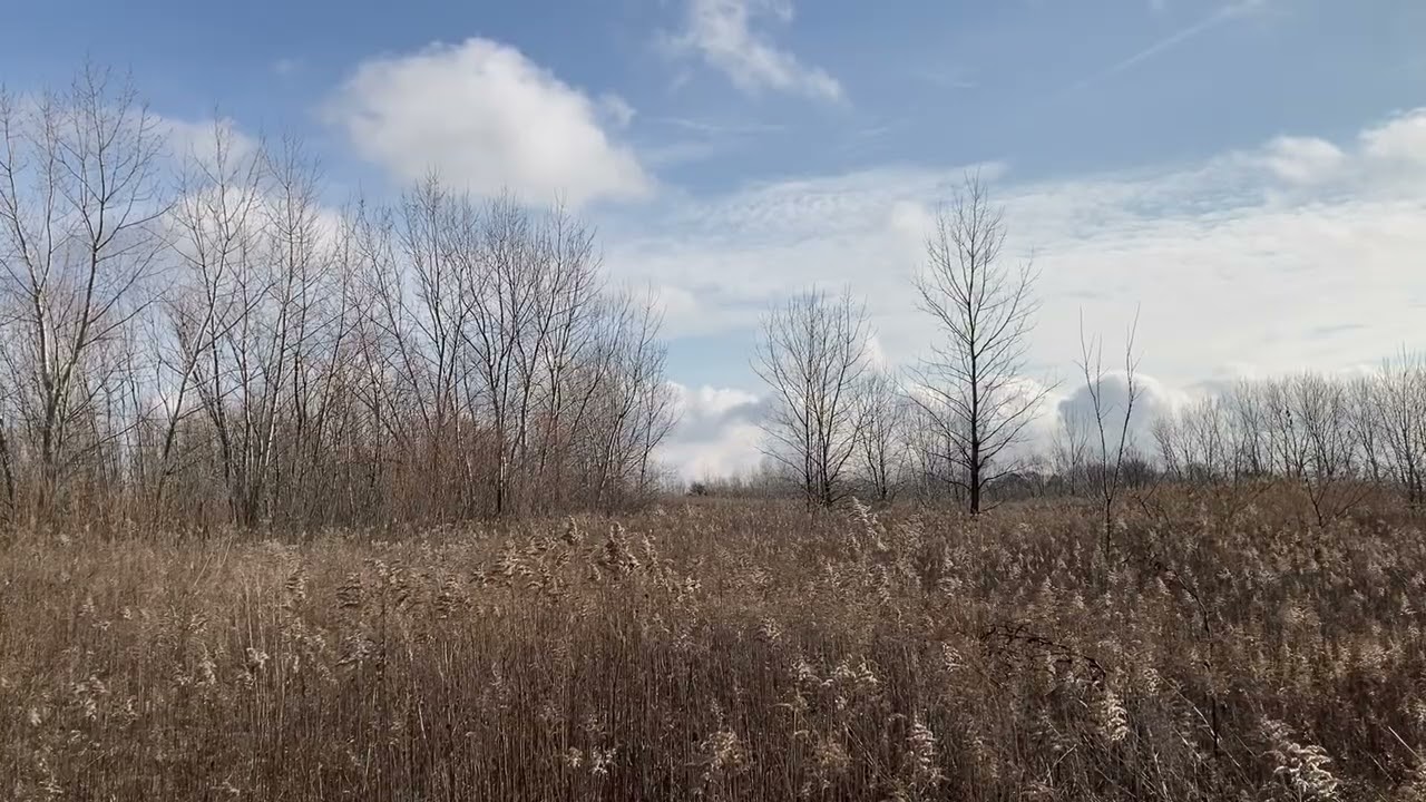 POV - You are Relaxing by the Prairies After a Very Long Day (Nature ASMR)