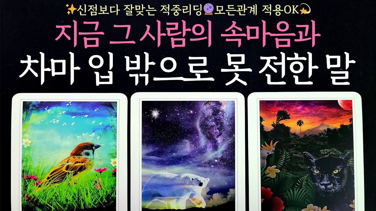 [타로] 