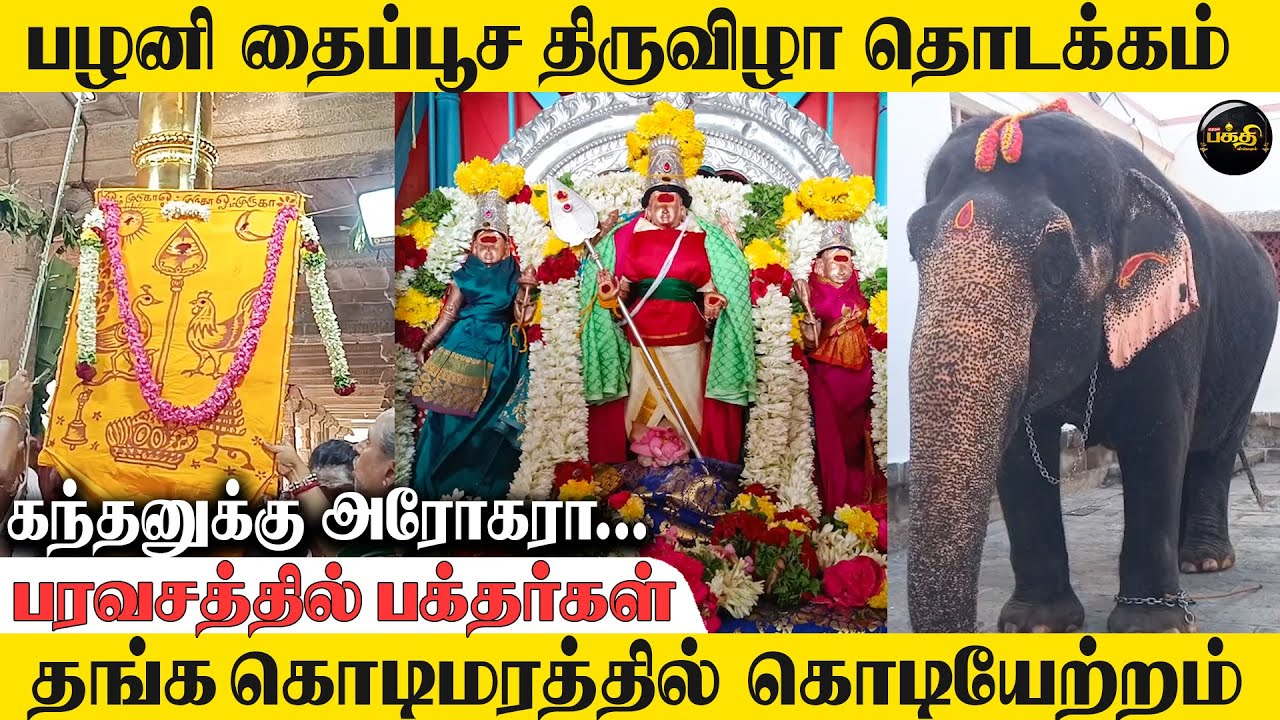கொடியேற்றத்துடன் தொடங்கிய பழனி தைப்பூசத் திருவிழா | Palani Murugan Temple | Thaipoosam | கொடியேற்றம்