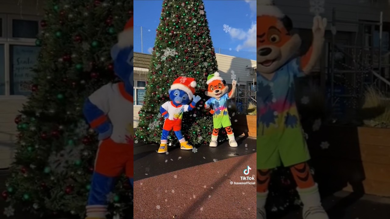 Christmas Is Coming To Haven #havenholidays #seasidesquad #christmas