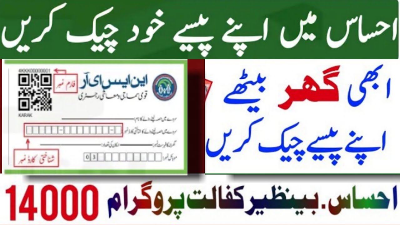 14000 check karne ka tarika|How to check ehsaas program 14000 online|Ehsaas 14000 online check 2022