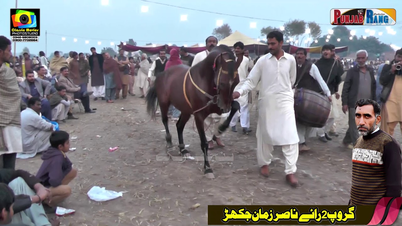 Barsat l Peer Abid Chishti l Horse Dance l 24 November 2020 l Jakhar Kamalia l Jakhar 31
