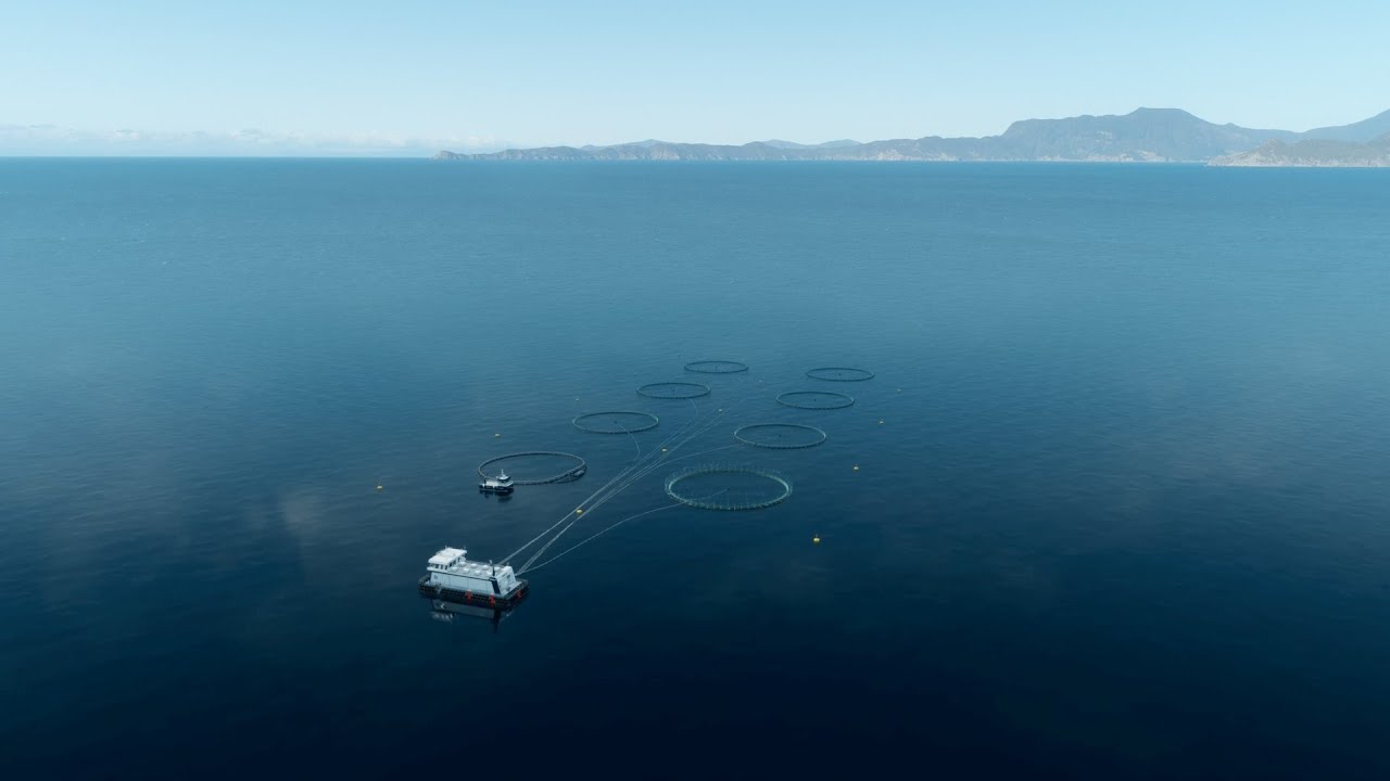 Blue Endeavour  - New Zealand King Salmon's open ocean salmon farm proposal