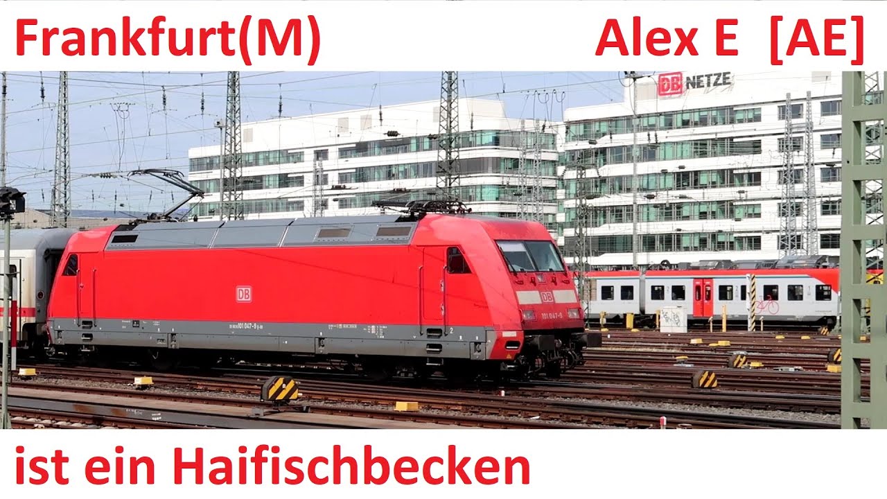 Frankfurt ist ein Haifischbecken  |  Alex E