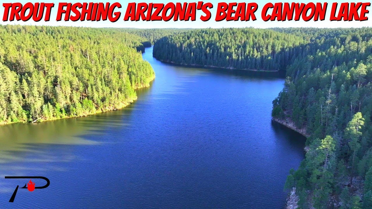 Trout Fishing Arizona's Bear Canyon Lake