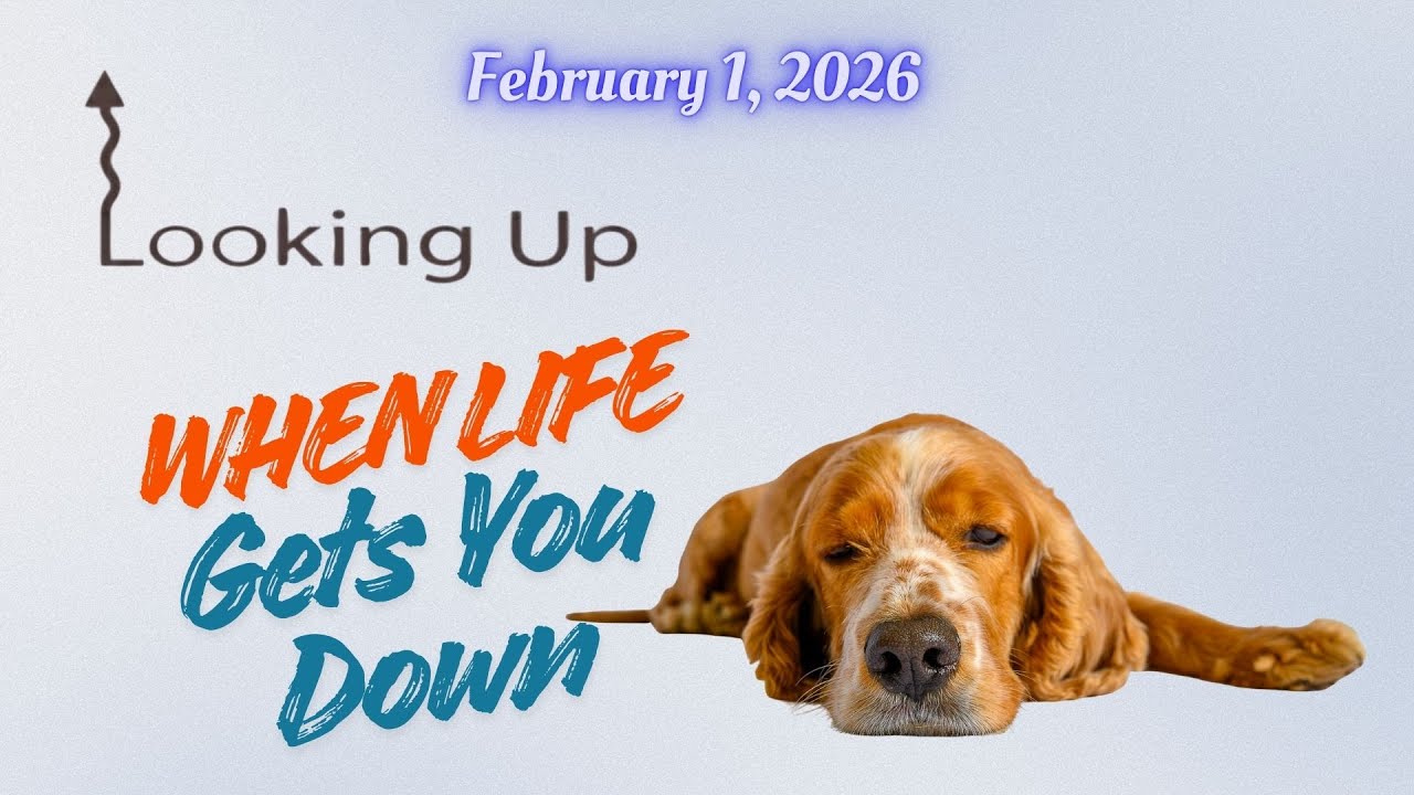 Looking Up When Life Gets You Down - Part 5
