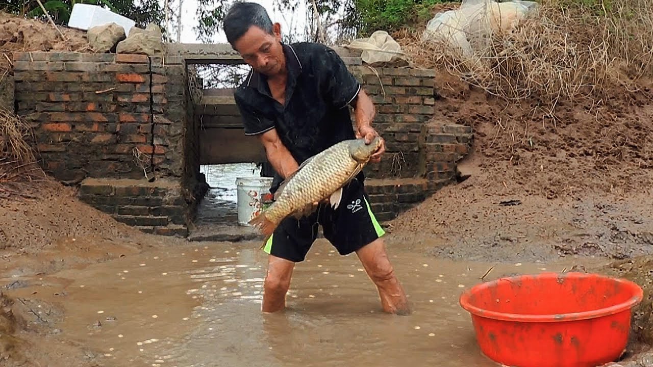 Lucky Farmer: Giant Fish Swims from the River into His Pond!
