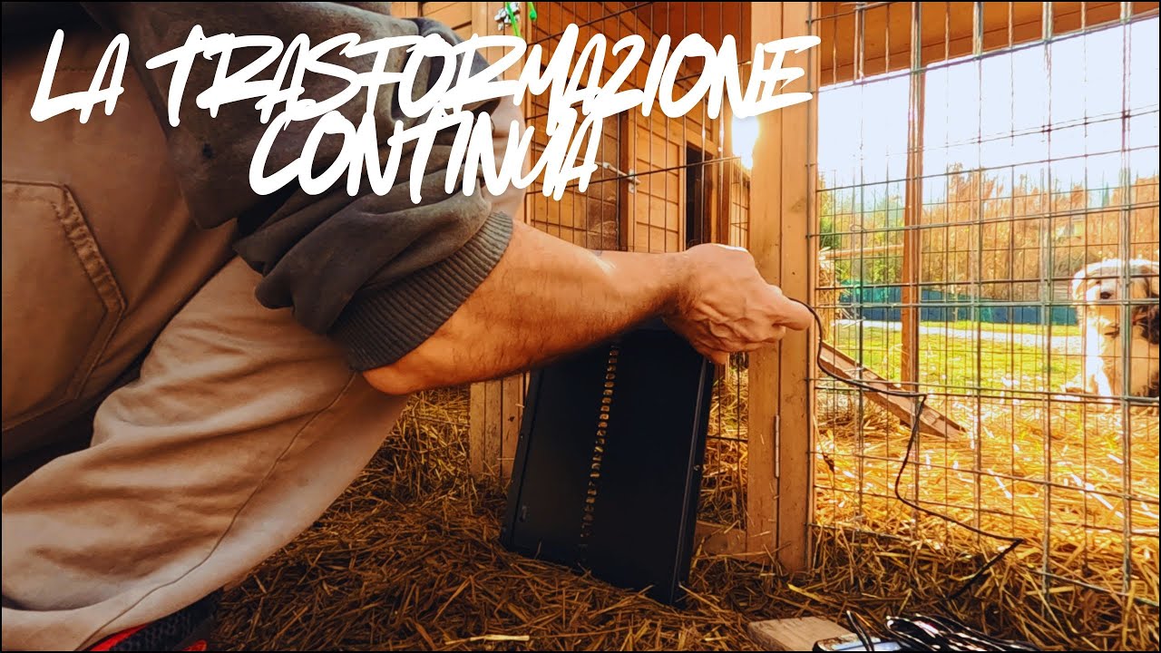 TRASFORMAZIONE AL VILLAGGIO! 🏡🌳 La natura ringrazia!