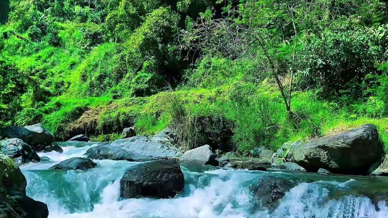 Gentle river sounds for calm meditation
