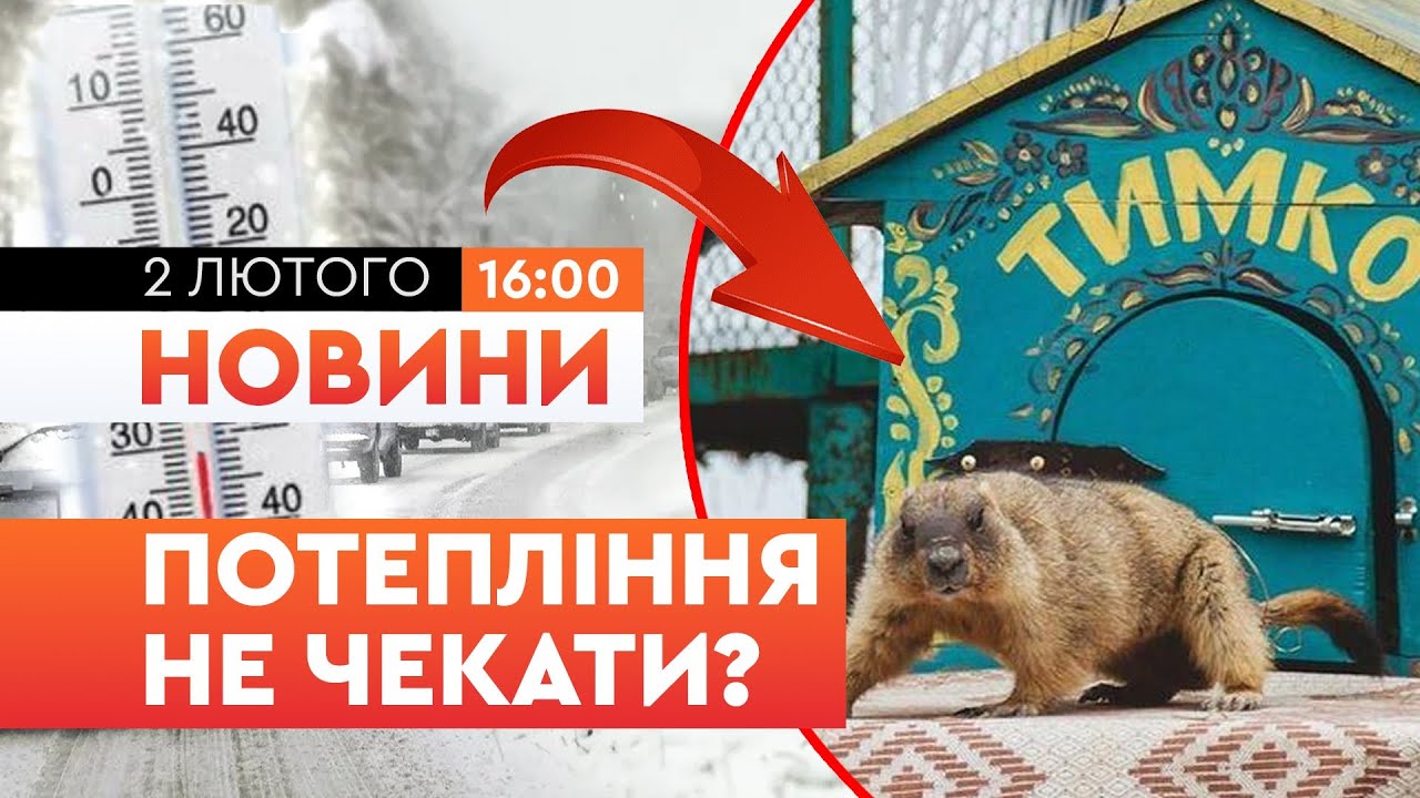 Коли прийде ПОТЕПЛІННЯ? Харківський бабак Тимко ДАВ ПРОГНОЗ! Весна ПРИЙДЕ до України через..| НОВИНИ