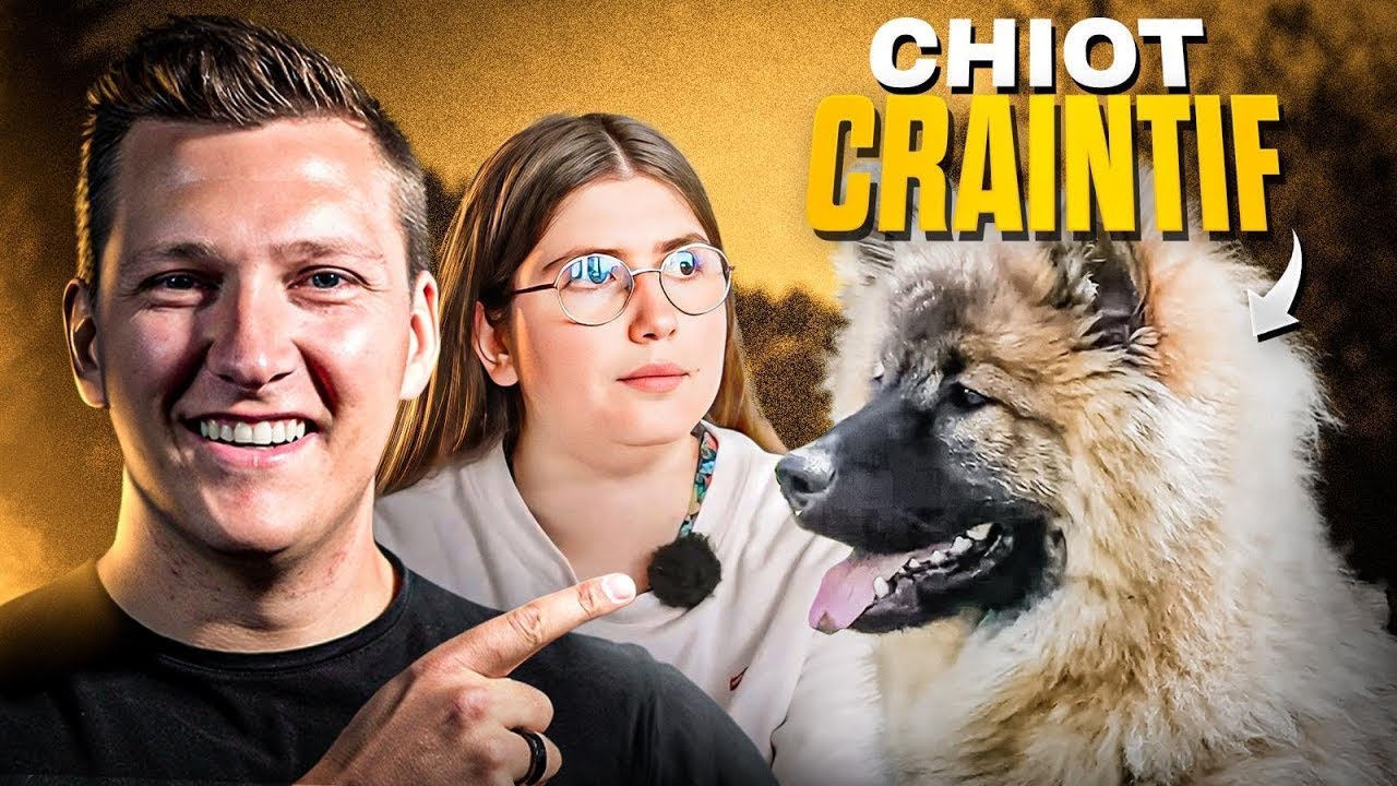 Chiot Craintif et Sans Rappel - Comment le Rassurer ? l Jour 28 Tour de France Educ Dog