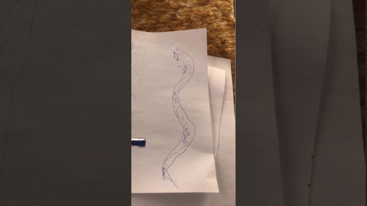 شرح طريقة لفاح الهامور ومعرفة القوعه