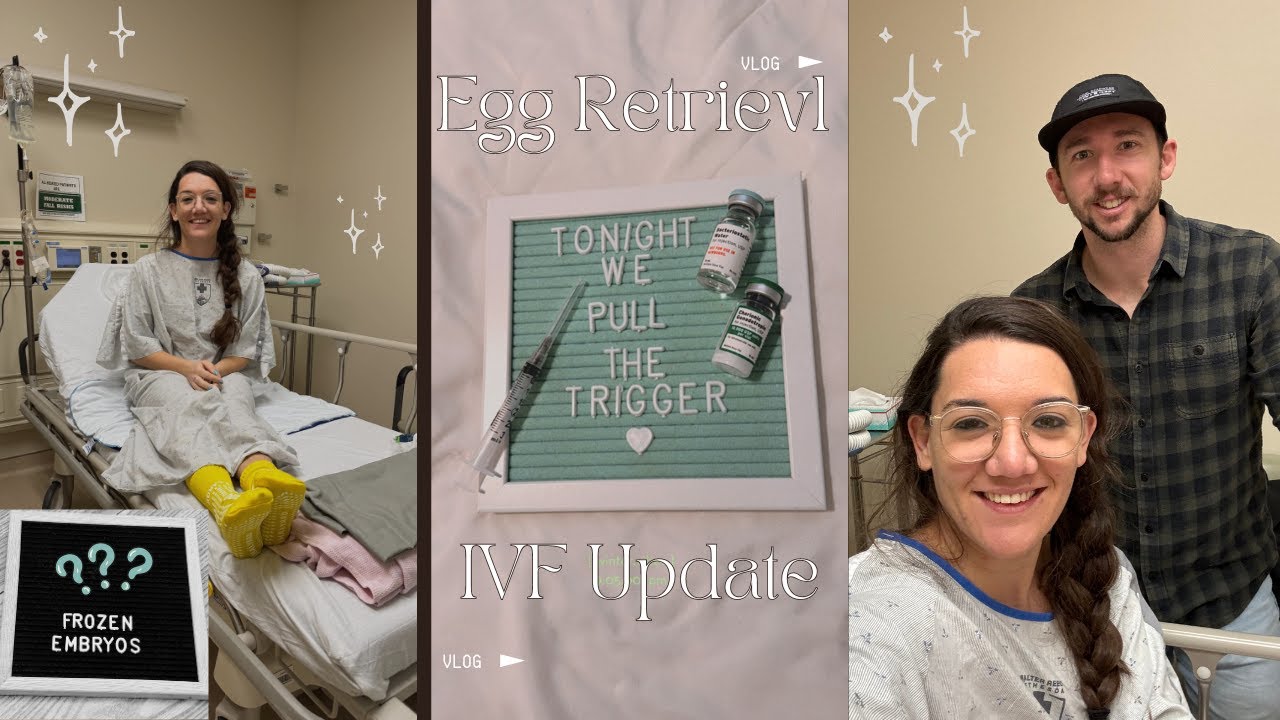IVF Egg Retrieval | We have how many embryos???