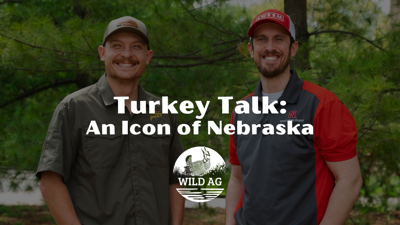 Ep.24: Turkey Talk: An Icon of Nebraska