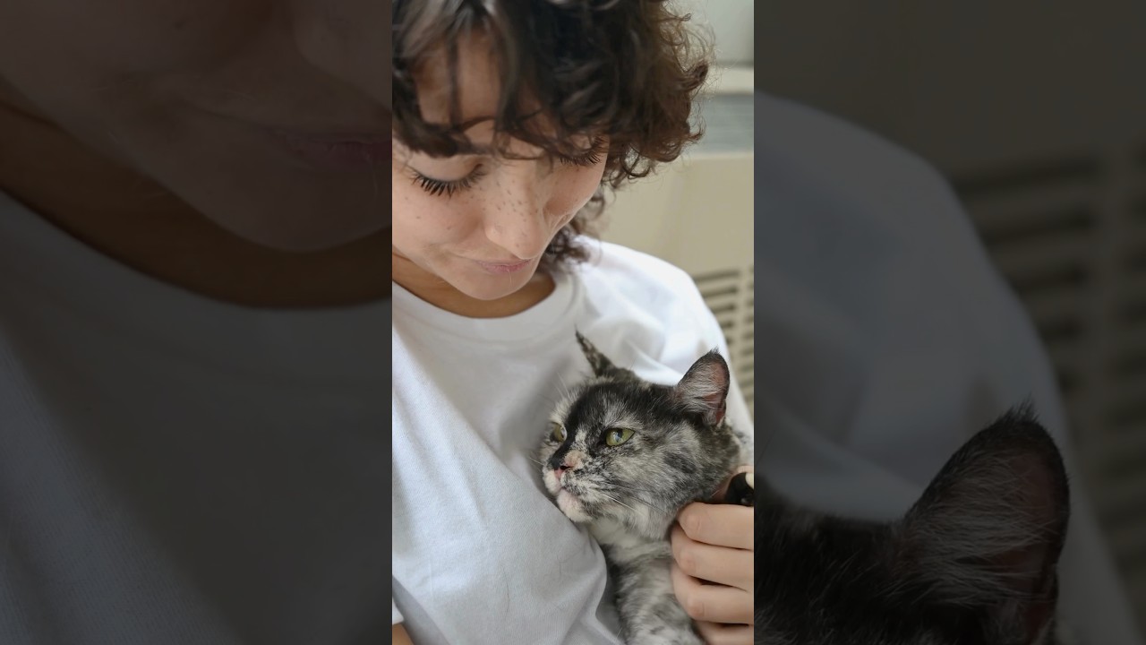 Love Our Only Guide - Tender May #tendermay #cat #loveouronlyguide
