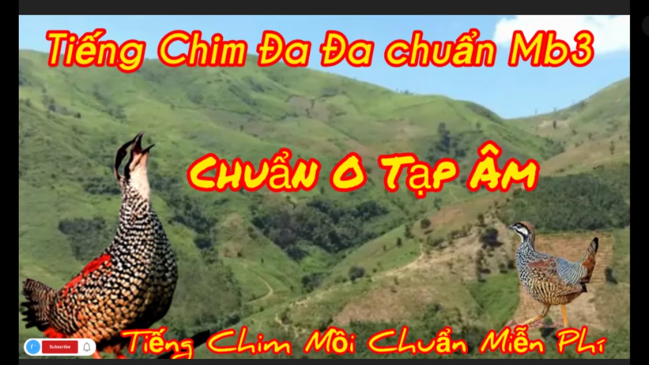 Tiếng chim Đa Đa, Tiếng Chim Đa Đa Mồi Chuẩn Mb3.