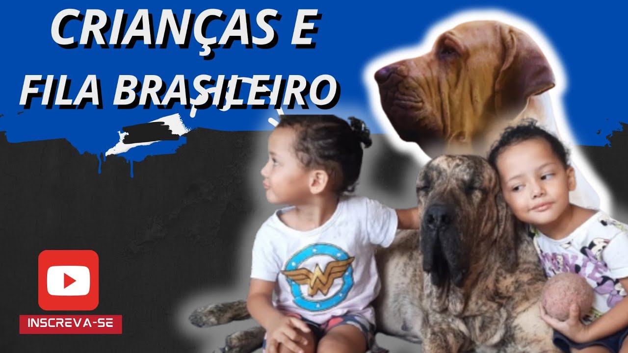 FILA BRASILEIRO É UM CÃO PARA CRIANÇAS ?