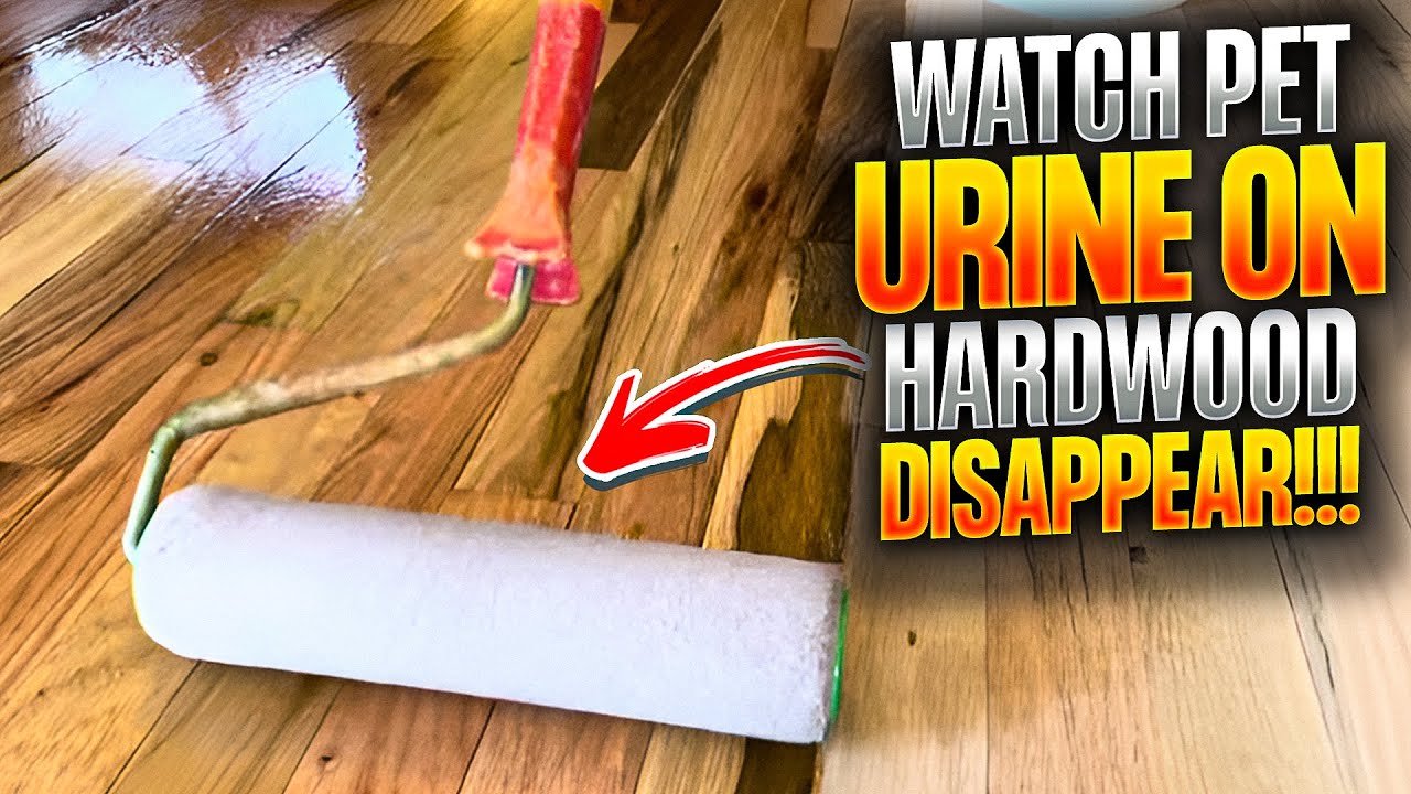 Watch Pet Urine On Hardwood Disappear!!!