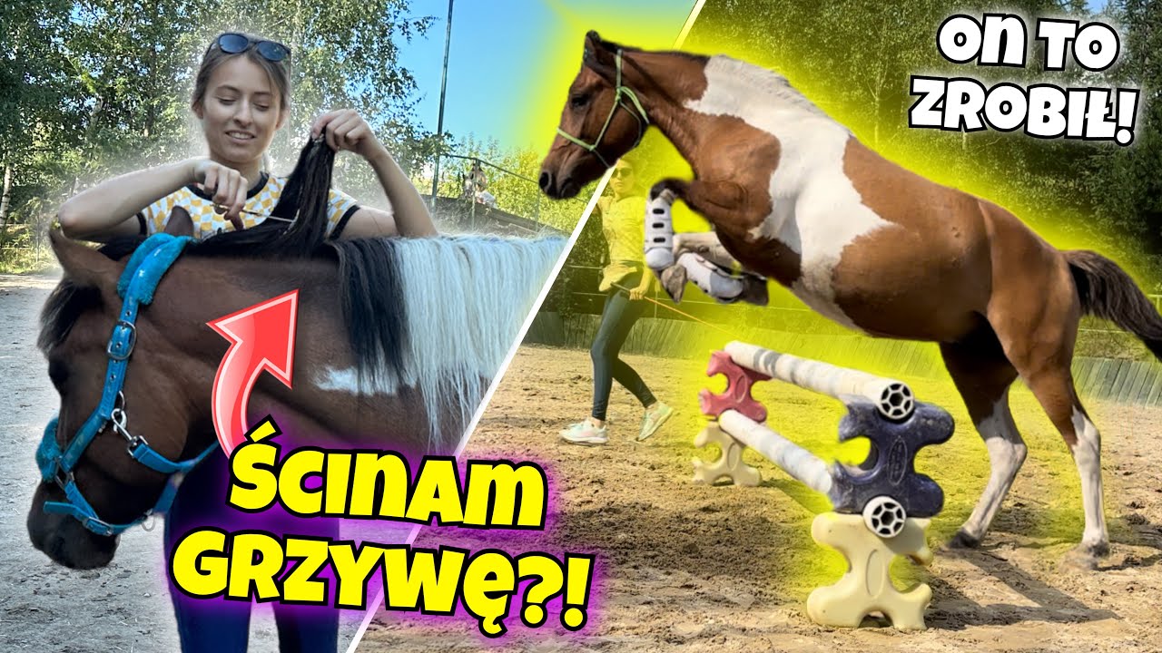 SPĘDZAM DZIEŃ Z WILBUREM!