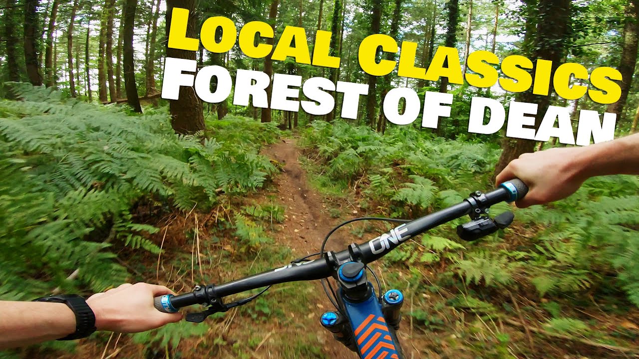 Perfect dirt down at the local spot! | Forest of Dean Mountain Biking