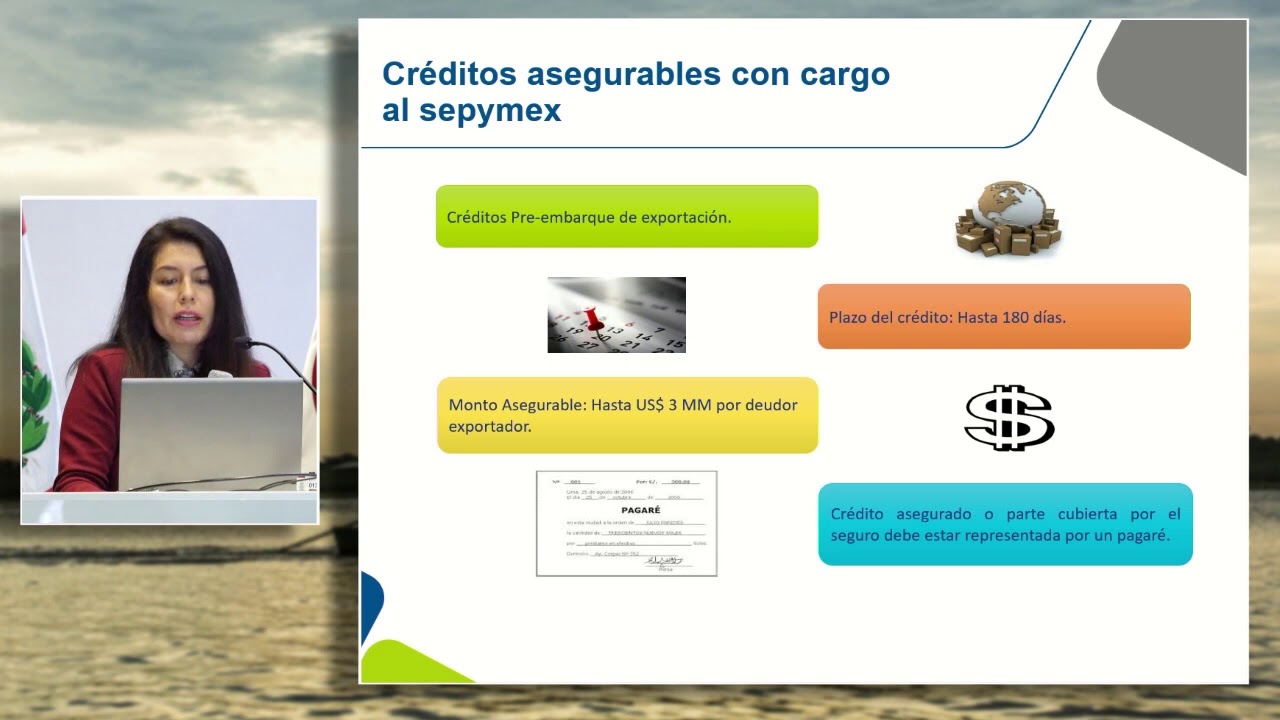 Garantías para el financiamiento en comercio exterior: MELGAREJO, Silvia (13 de Septiembre)