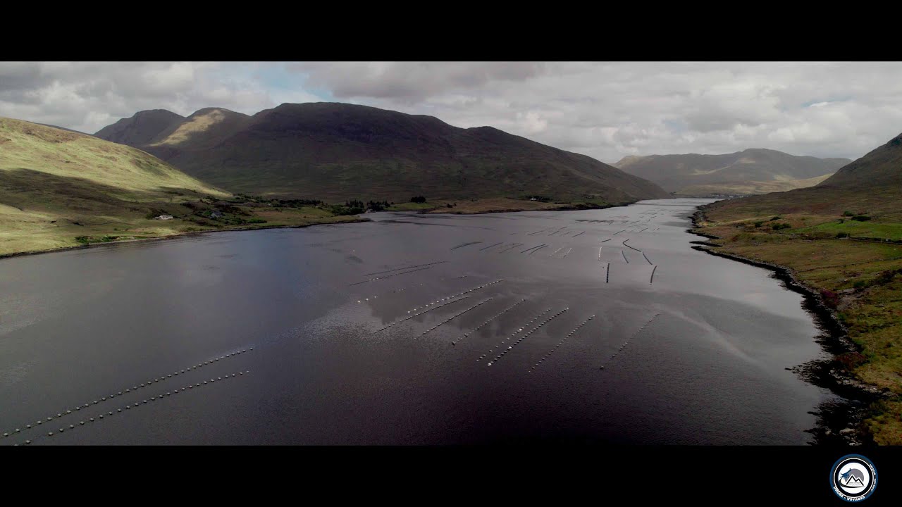 Road-trip en Irlande du sud