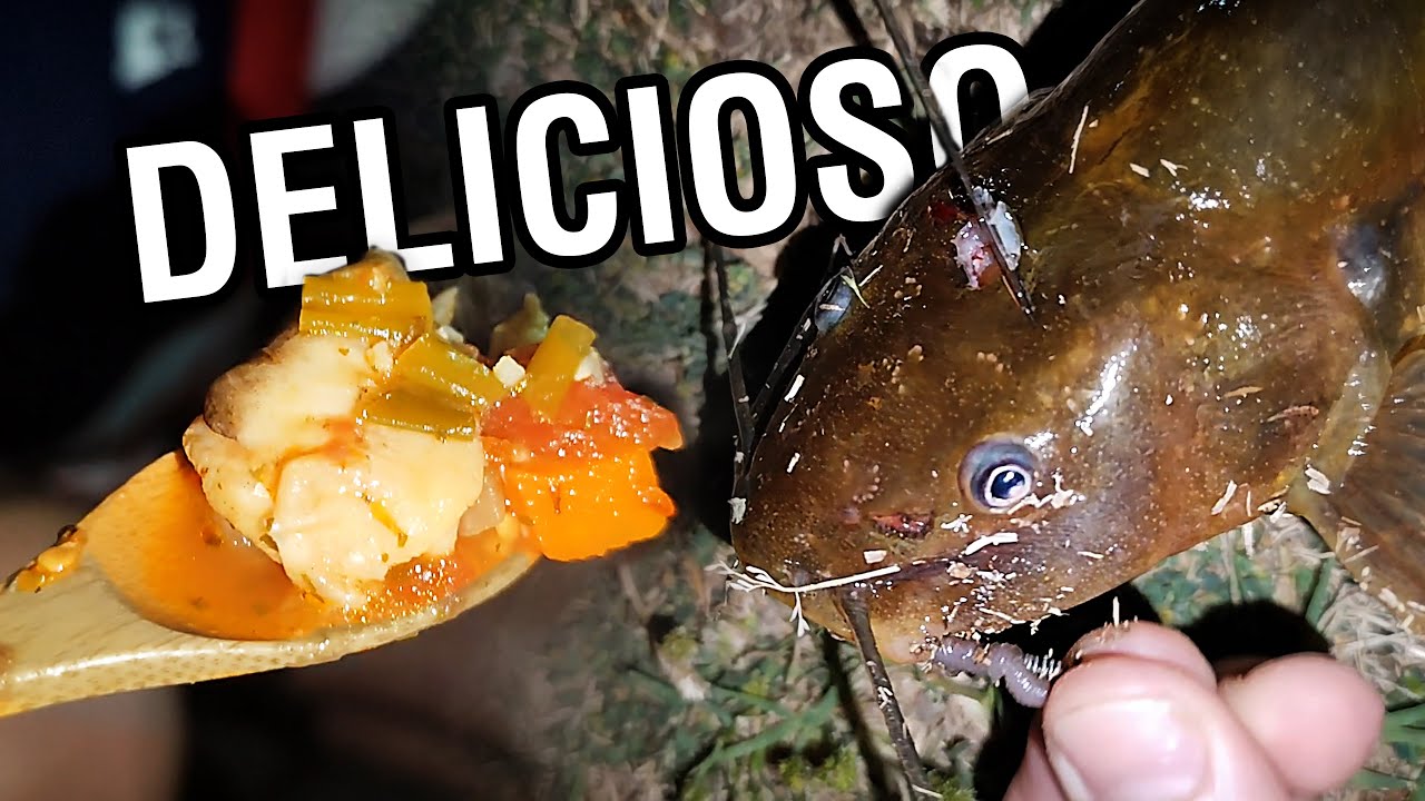 PESCA Y COCINA DE BAGRE DE ARROYO DELICIOSO / pescado grande con mojarrera / Undercarp