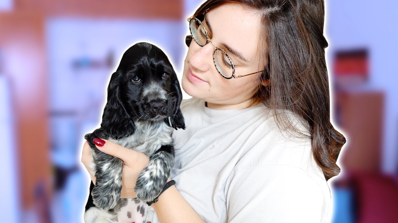 REGALO UN CUCCIOLO ALLA MIA RAGAZZA! Ecco Nika!