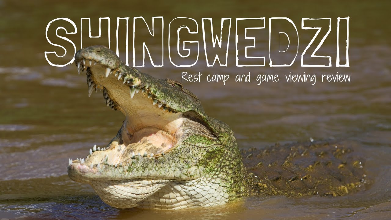 SHINGWEDZI Rest Camp & Game Viewing Review | Kruger National Park