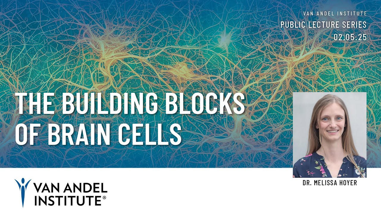 The building blocks of brain cells