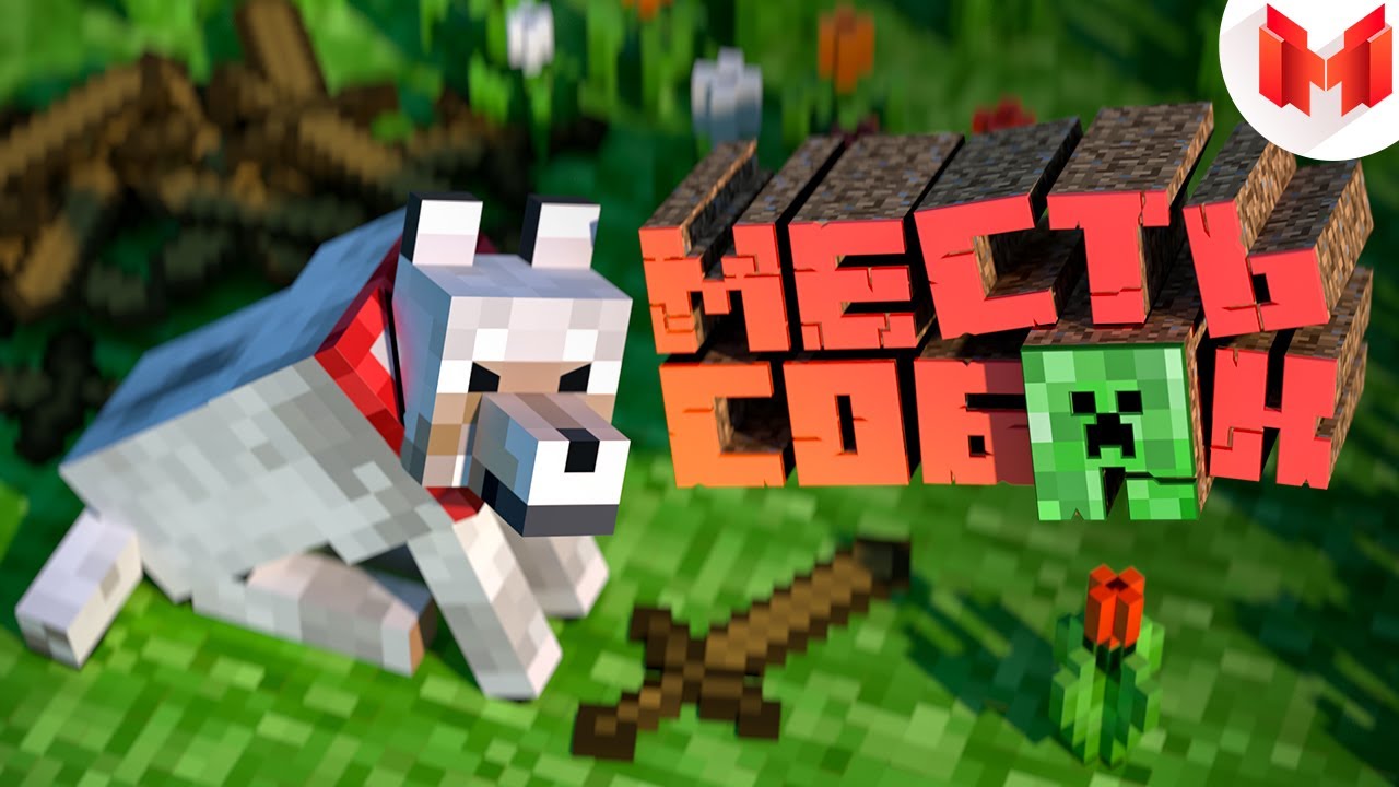 #1 Minecraft 