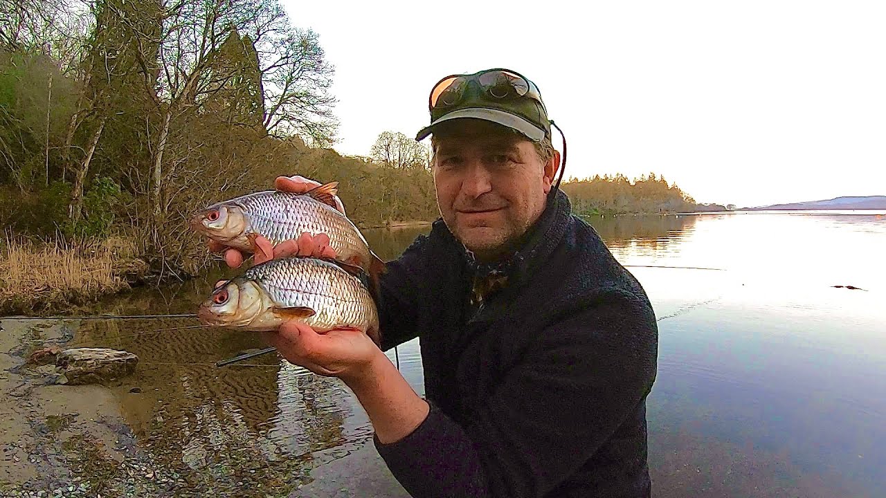 Loch Lomond Fishing - The Best Coarse Fishing Loch In Scotland