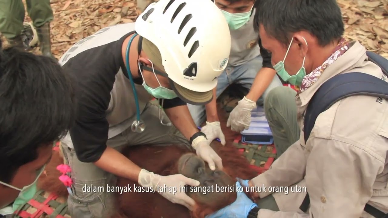 THE INCREDIBLE OIC | OIC Documentary