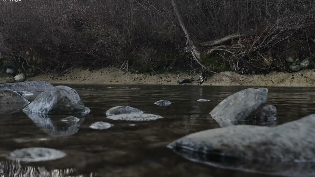 River Sounds for Sleeping 10H | Peaceful Water Sounds & Nature Ambience and Sleep fur TV
