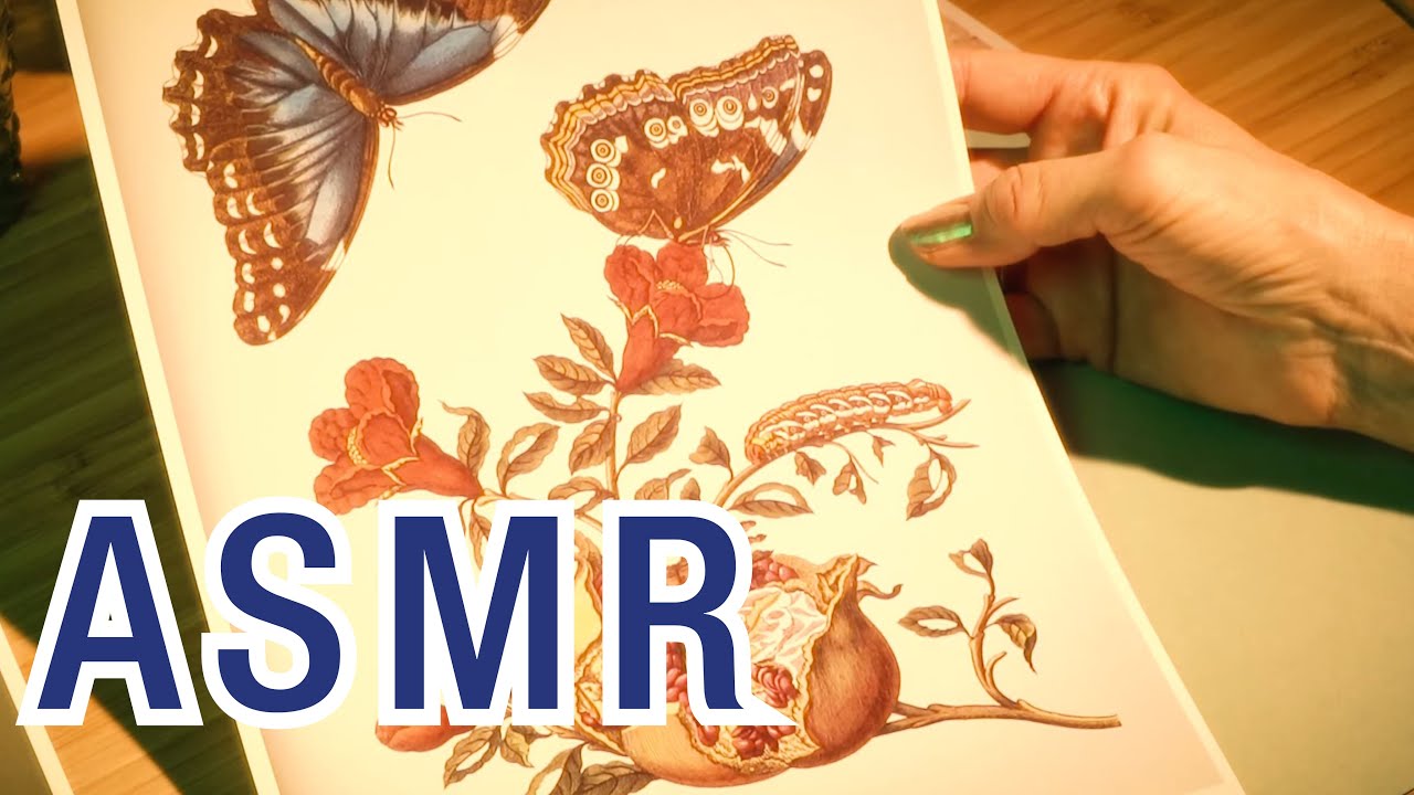 ASMR Geschichte einer Raupe 🐛🦋