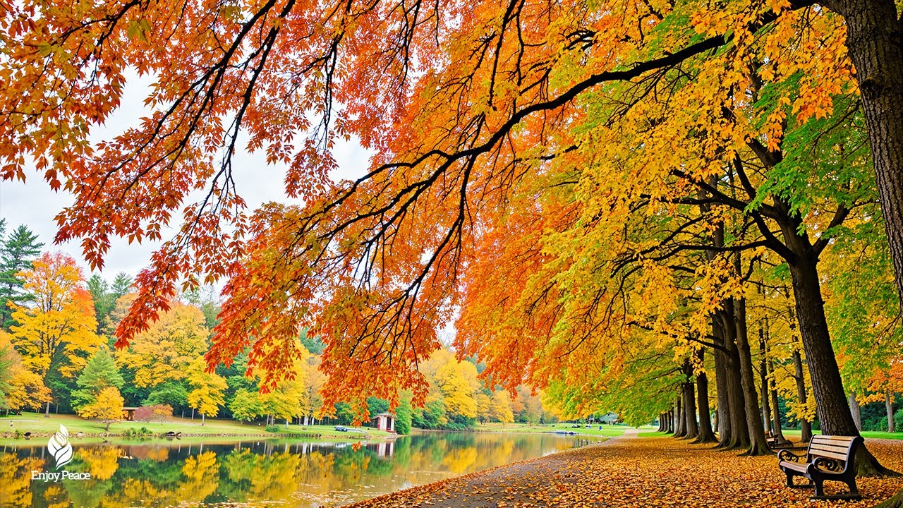Beautiful Relaxing Music 🍁 Stop Overthinking, Stress Relief Music With Autumn Melodie