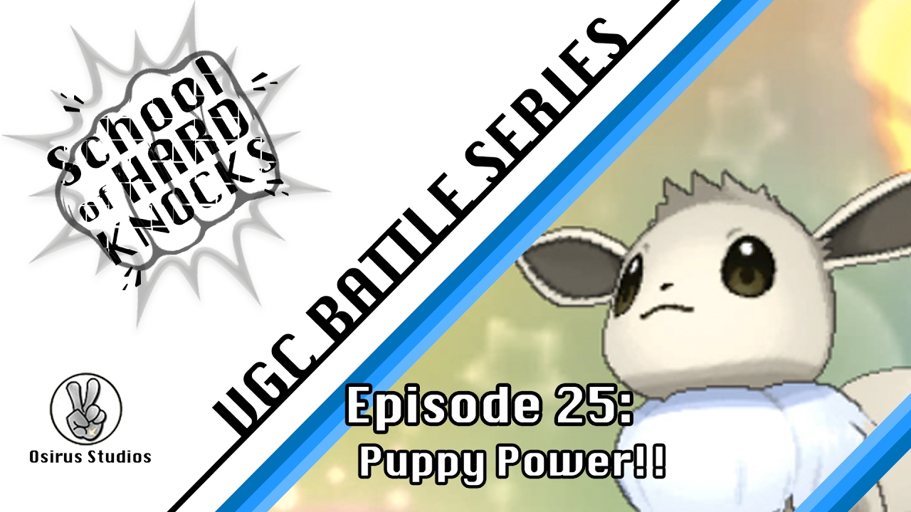 School of Hard Knocks: Episode 25: Puppy Power!