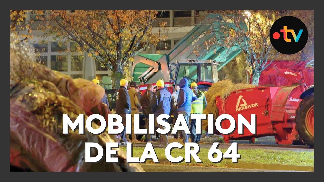 Pau : les syndicats agricoles dénoncent l'abattage d'un troupeau