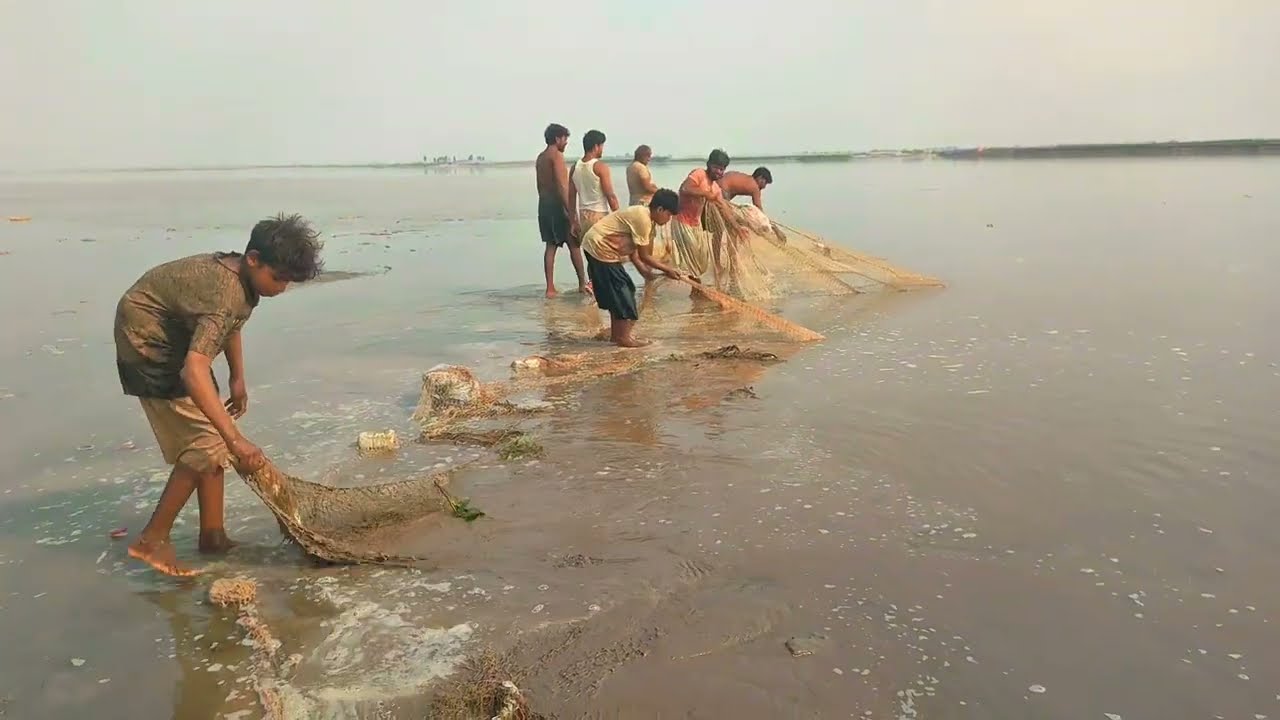 Jaal ka shikar| Net Fishing at River Chanab| Fish catch with net #netfishing #fishing #fish 