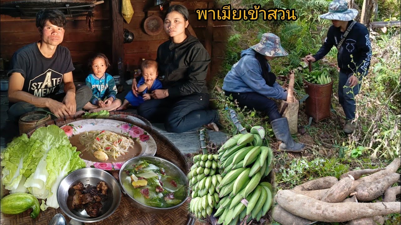 พาเมียเข้าสวน เอากล้วย ถอนมัน5นาที ทำกับข้าวเที่ยง ตำบักแตง แกงชิ้นแห้งใส่ผักกาด ย่างหนังหมู-บ่าวยืง