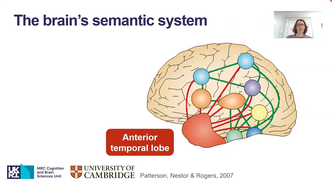 How does the brain understand the world? - Saskia Frisby