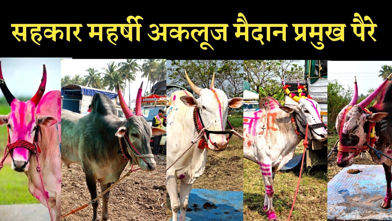 सहकार महर्षी अकलूज मैदान 2026