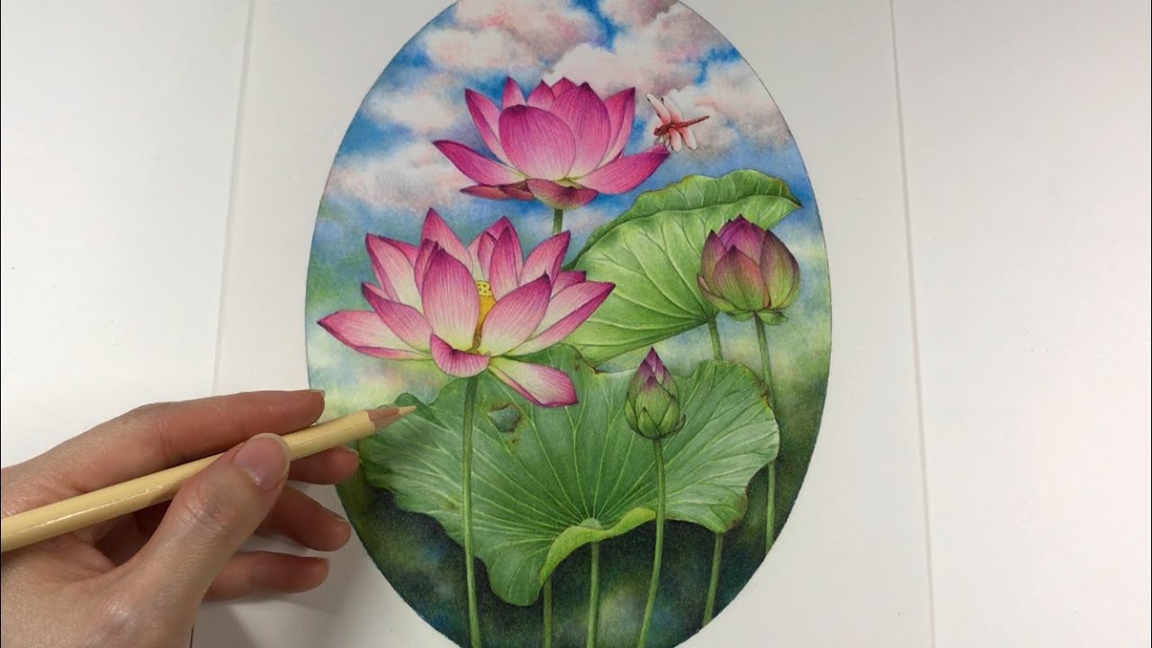 LOTUS FLOWERS 