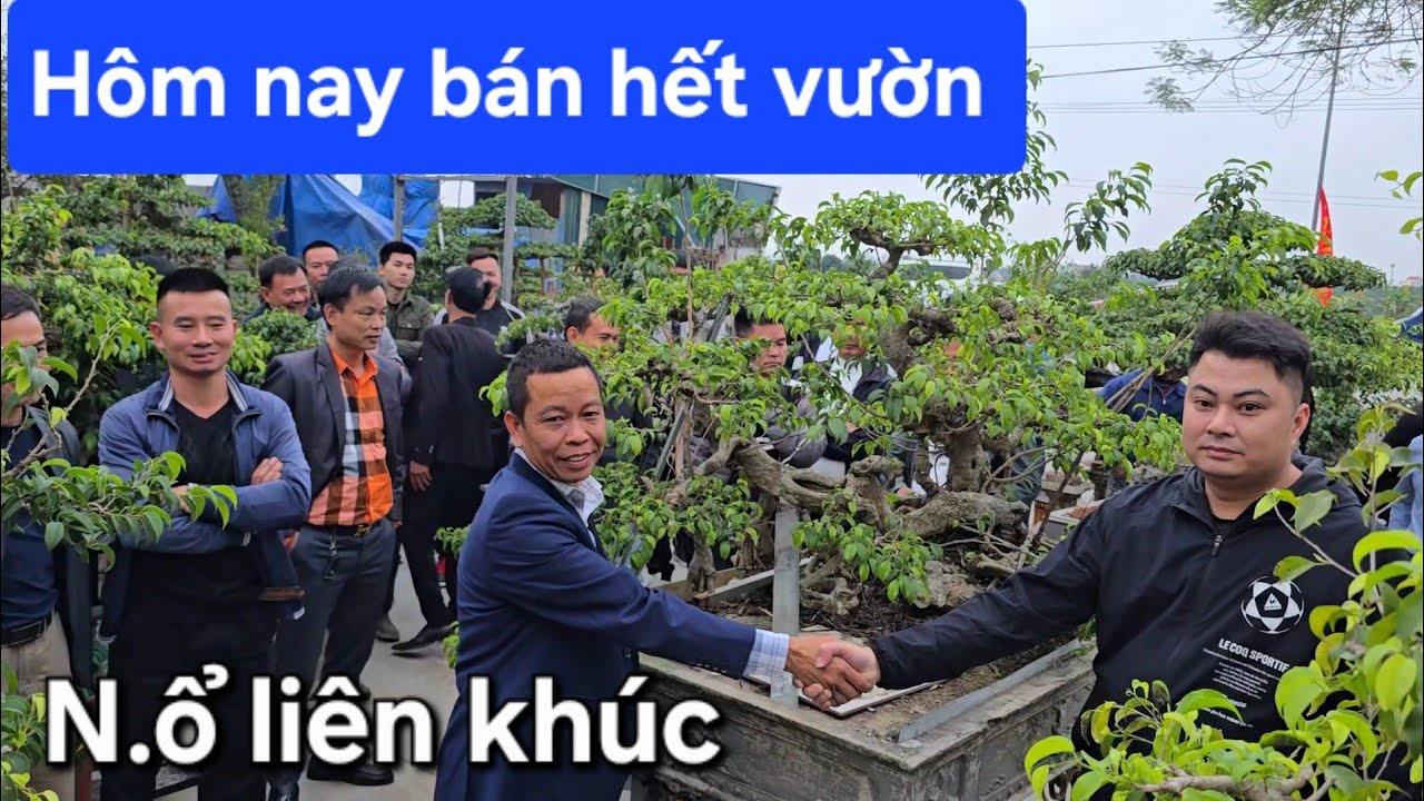 Anh Yên tuyên bố hôm nay bán hết vườn. Anh em chốt liên khúc luôn 